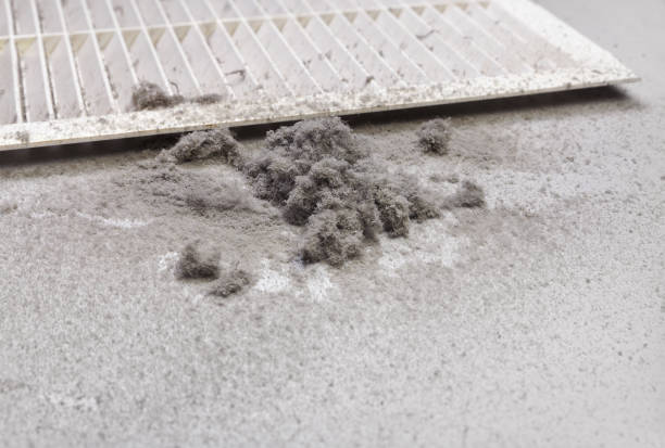 Reliable Waverly, TN Airduct Cleaning Solutions